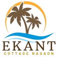 logo removebg preview